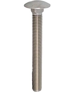 M8x50 Stainless Steel Cup Square Bolt