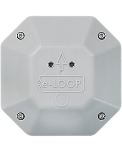 The Domestic e-LOOP Mini Exit Loop